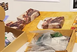 ccg EnGarde: Winter Season